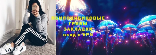 спиды Алексеевка